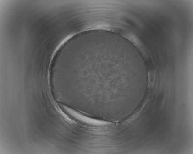 X0000081390780200701182231