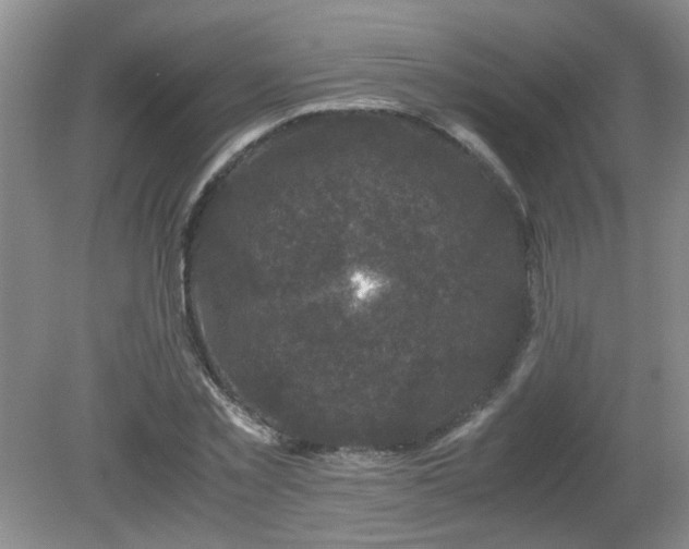 X0000081390781200701182231