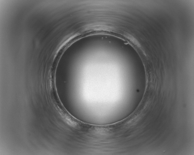 X0000081390782200701182231