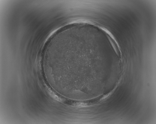 X0000081390783200701182231