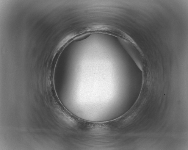 X0000081390786200701182231