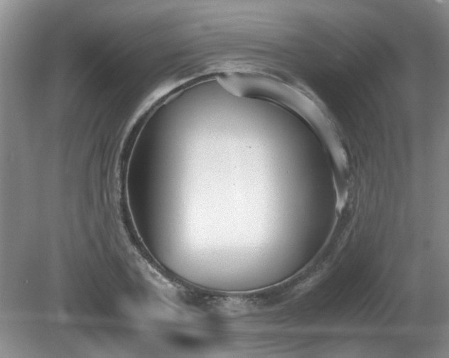 X0000081390787200701182231