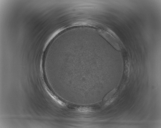 X0000081390788200701182231