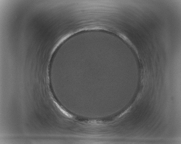 X0000081390789200701182231