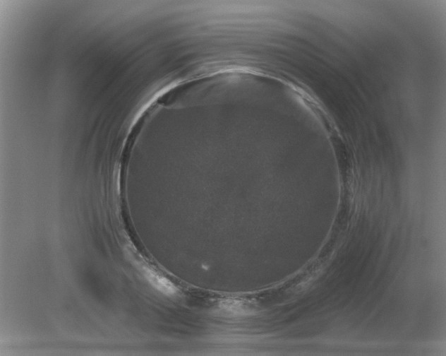 X0000081390790200701182231