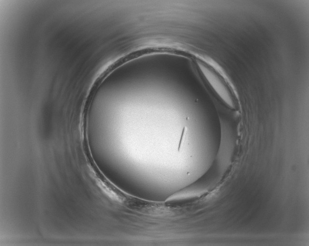 X0000081390791200701182231