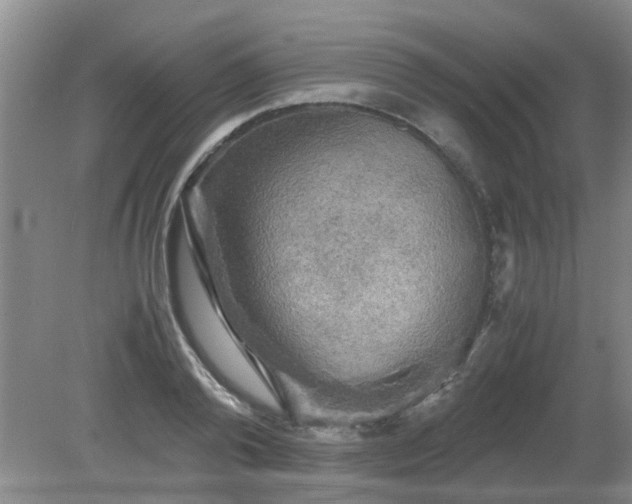 X0000081390792200701182231