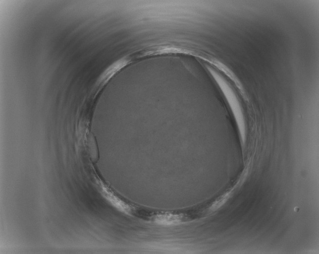 X0000081390793200701182231