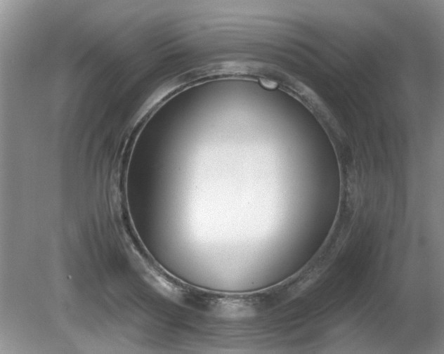 X0000081390794200701182231