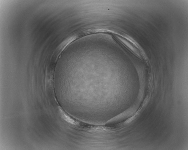 X0000081390801200701182231