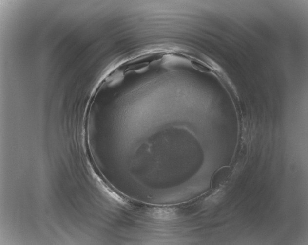 X0000081390802200701182231