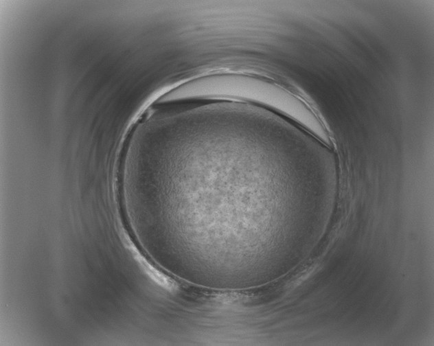 X0000081390803200701182230