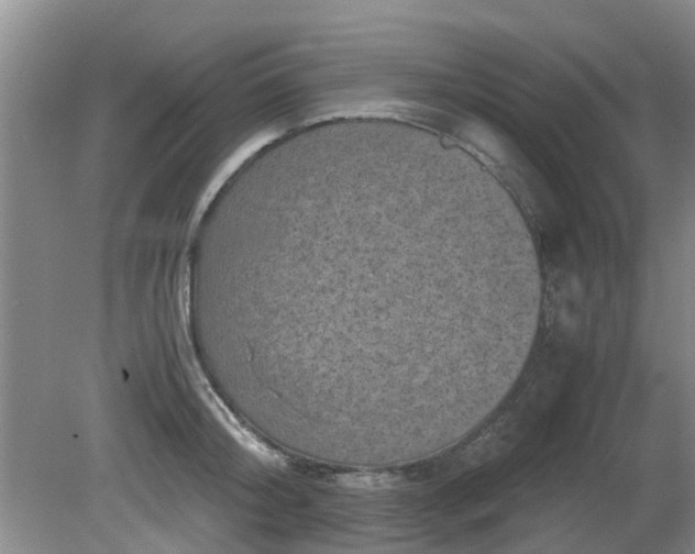 X0000081390804200701182230