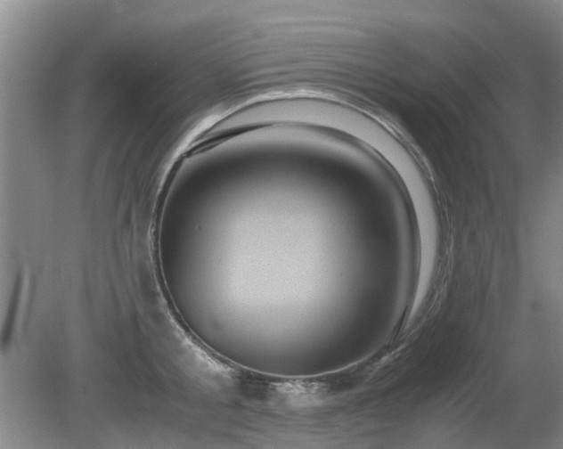 X0000081390805200701182230