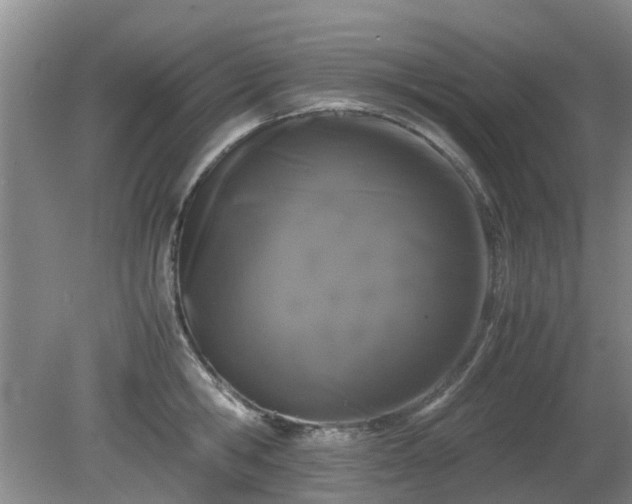 X0000081390806200701182230