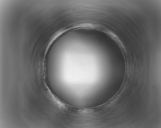 X0000081390808200701182230