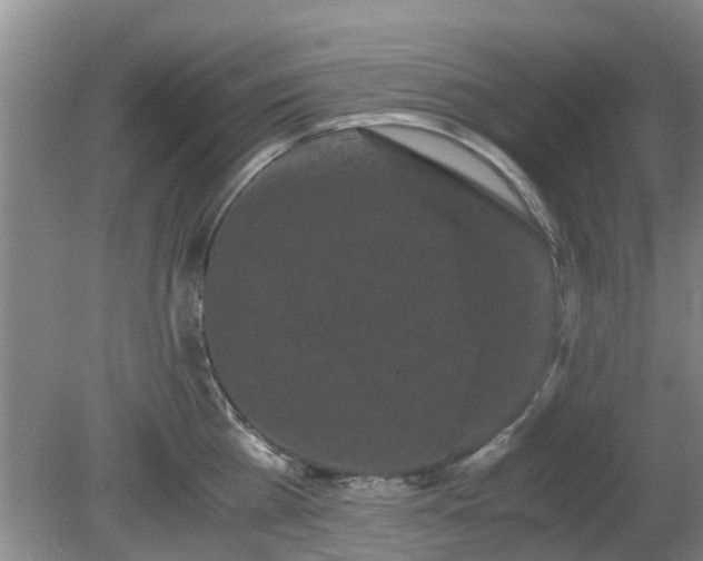 X0000081390809200701182230