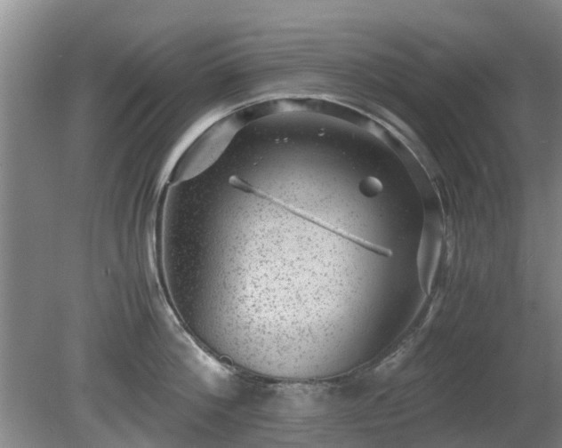 X0000081390812200701182230