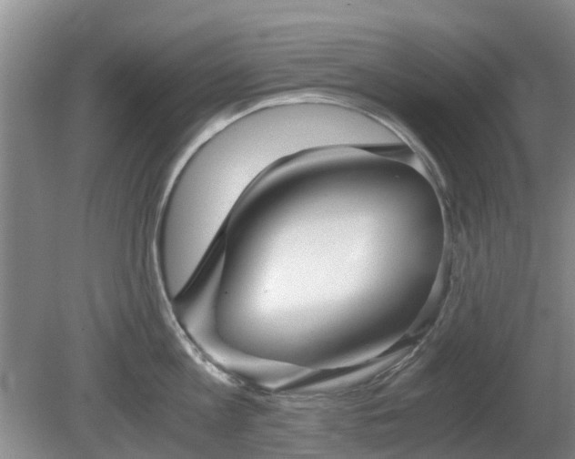 X0000081390813200701182230