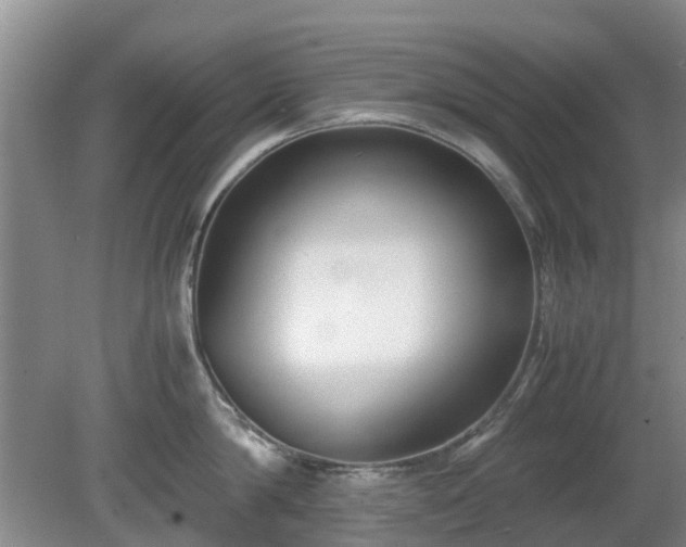 X0000081390814200701182230