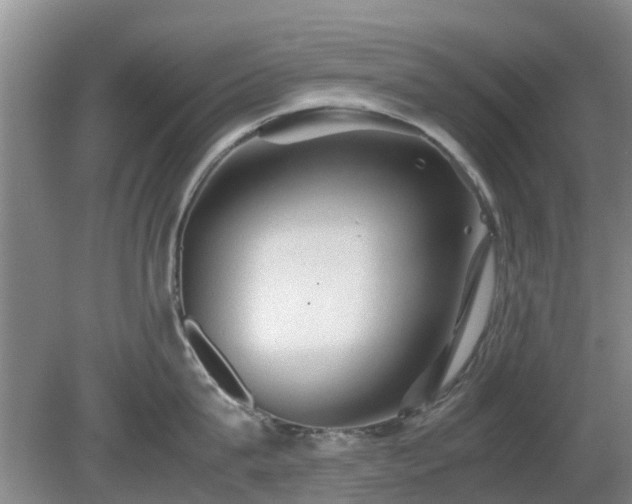 X0000081390815200701182230