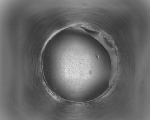 X0000081390816200701182230