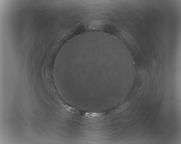 X0000081390817200701182229