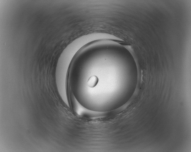 X0000081390818200701182229