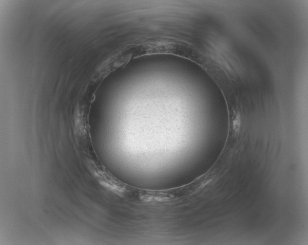 X0000081390819200701182229