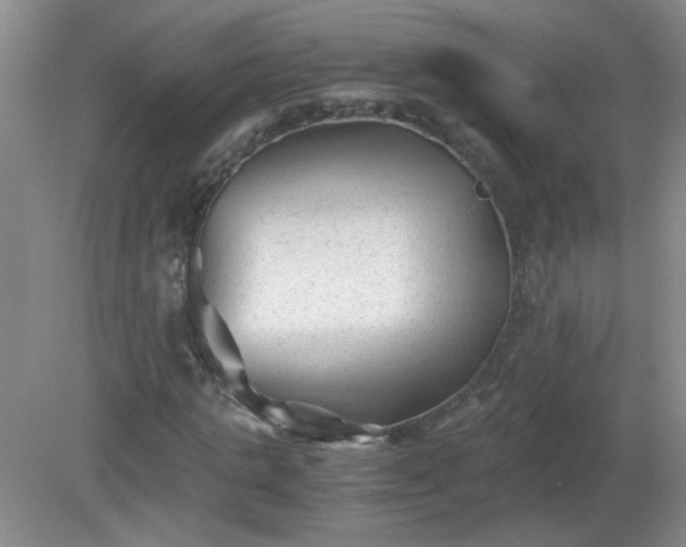 X0000081390821200701182230