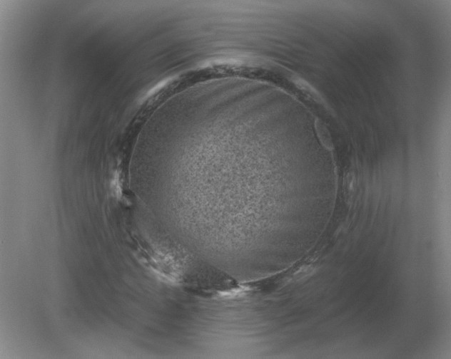 X0000081390822200701182230