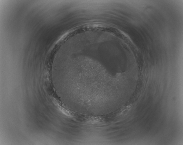 X0000081390823200701182230