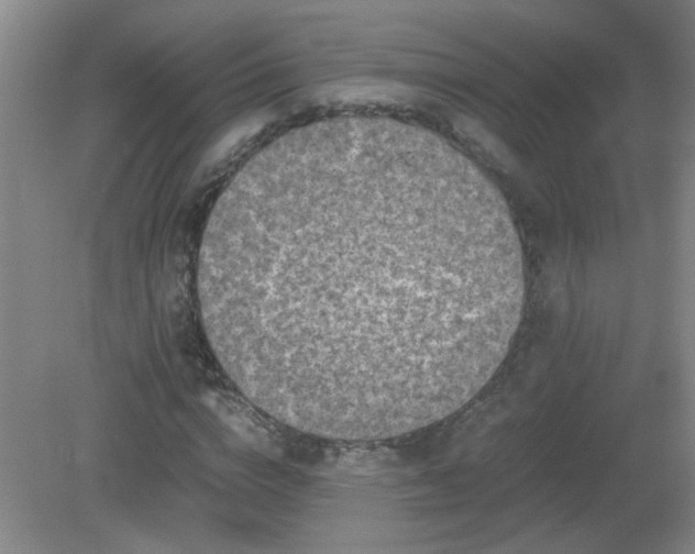 X0000081390824200701182230