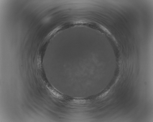 X0000081390825200701182230