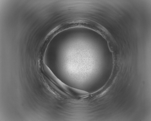 X0000081390826200701182230