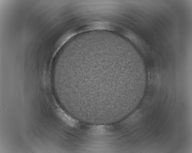 X0000081390828200701182230