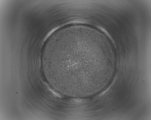 X0000081390829200701182230