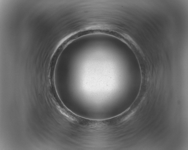 X0000081390830200701182230