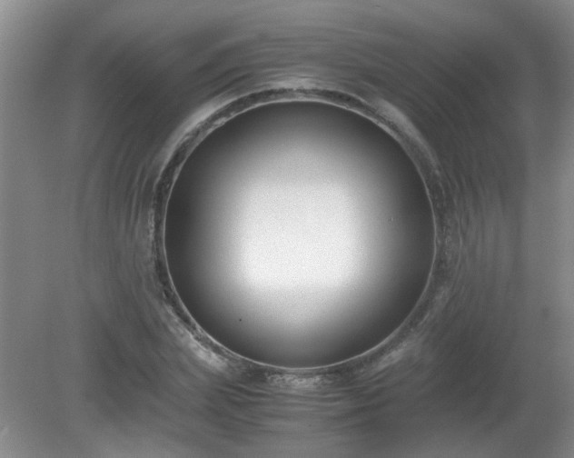 X0000081390831200701182230