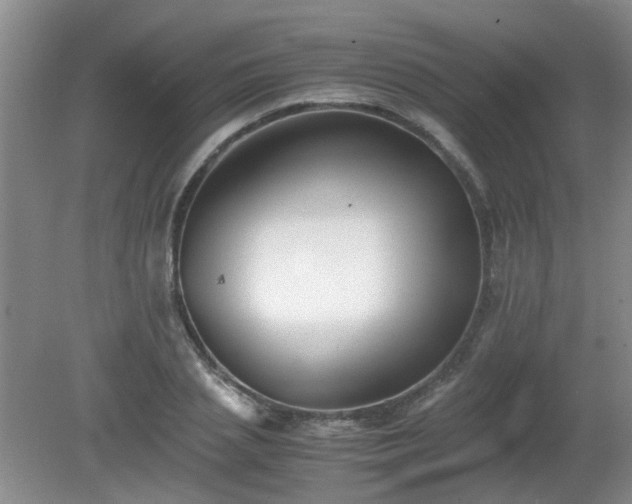 X0000081390837200701182230