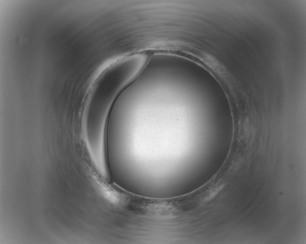 X0000081390838200701182230