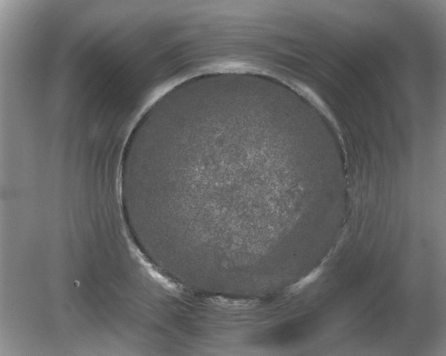 X0000081390839200701182230