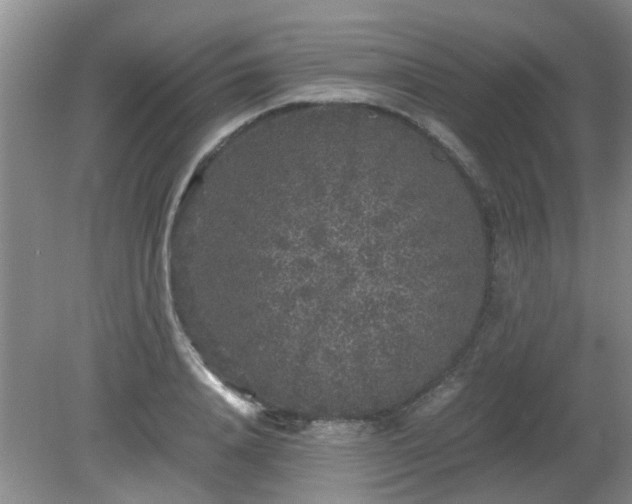 X0000081390840200701182230