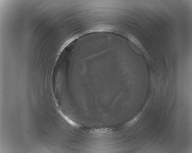 X0000081390842200701182230