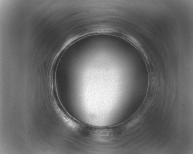 X0000081390843200701182230