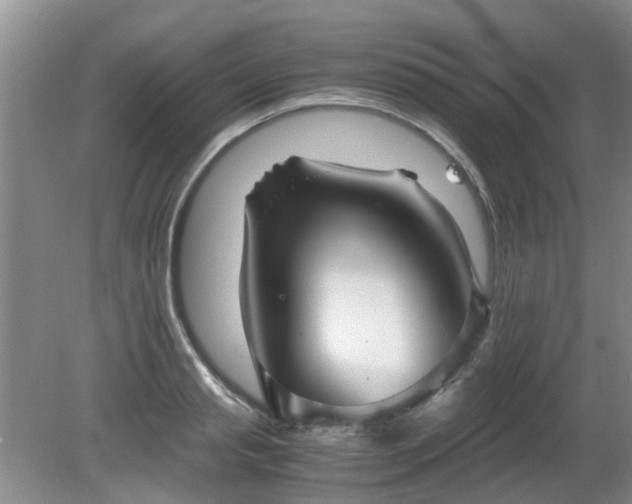 X0000081390845200701182230