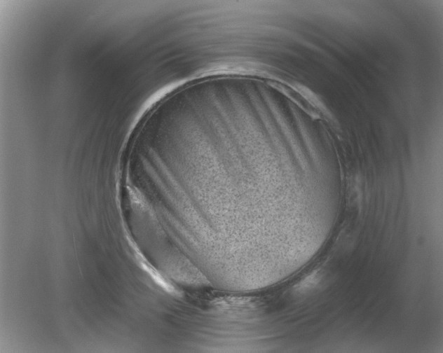 X0000081390846200701182230