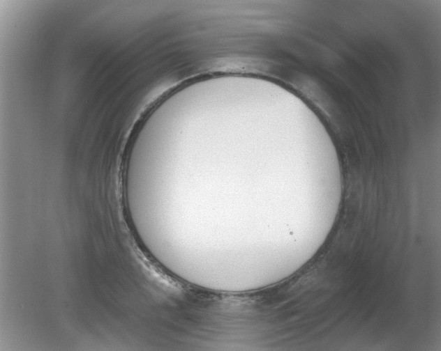 X0000081390848200701182230