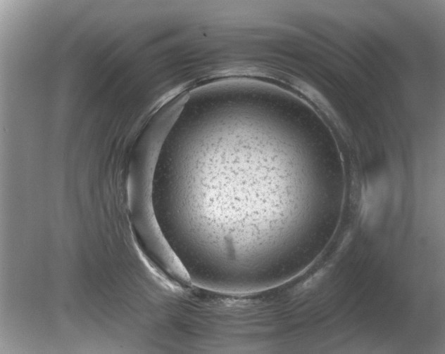 X0000081390849200701182230