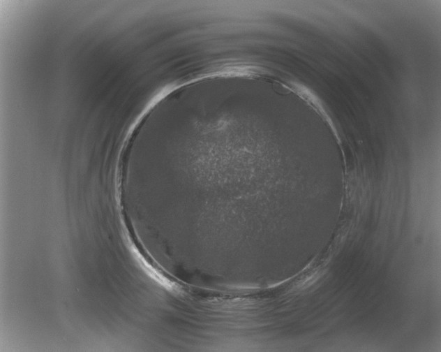 X0000081390851200701182230